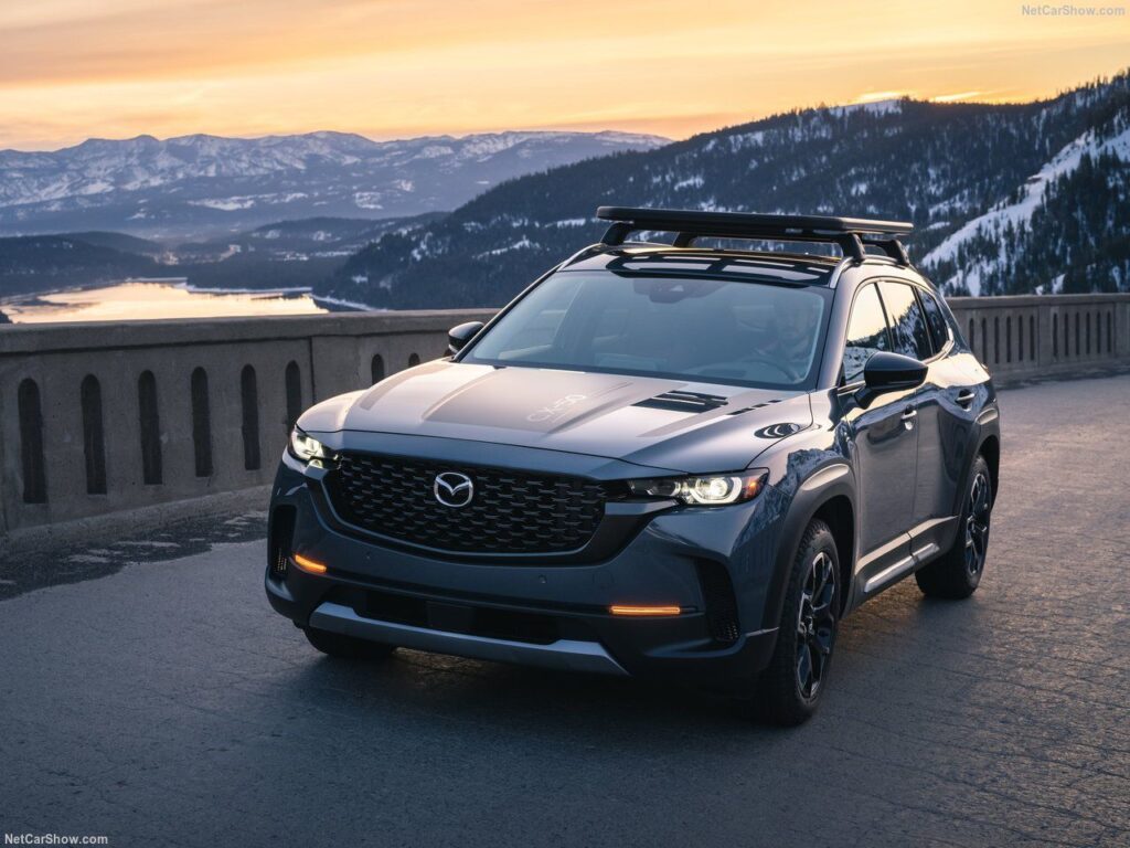cx50-13
